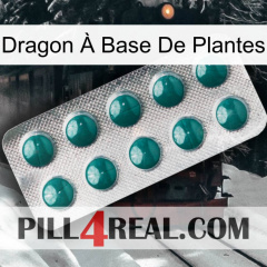 Dragon À Base De Plantes dapoxetine1